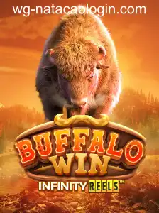 BuffaloWin